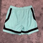 Nike New York Liberty Wnba Team Issue Shorts Mint Green Women   s Size Large-tall