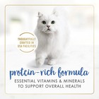 Purina Fancy Feast Gravy Lovers 3 Ounce  pack Of 24   Ocean Whitefish   Tuna