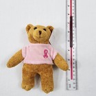 Breast Cancer Bear Avon 2001 Plush 7  Plush Pink Survivor With Tags