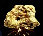  500  Grams Alaskan Yukon Bc Natural Pure Gold Nugget Hand Picked   g500  