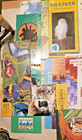 Assorted Lot 30  Usa Europe Asia Zoo Pamphlet Brochure Guide Maps Xcon Fs