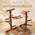 Bird Perch Stand  Multi-layer Playground  Parrot Small To Medium  Wood