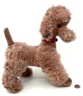 Steiff Cosy Snobby Poodle Dog 1960s Id Button Tag Dralon Plush 28cm 11in Vintage