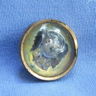 Cavalier King Charles Spaniel Essex Crystal Intaglio Antique Dog Button
