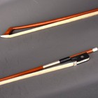 5star Master Pernambuco Cello Bow 4 4 Ebony Parisian Eye Carved Silver Part Fast