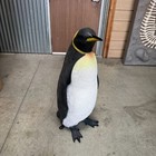 King Penguin Life Size Resin Statue Animal Bird Prop Arctic Theme Decor Display
