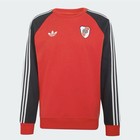 Buzo Deportivo River Plate Adidas Originals Cuello Redondo Hombre