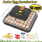12 56 Egg Incubators For Chicken Eggs With Automatic Egg Turning 360   View Gift