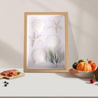 10 Pcs 4-5 Inch Natural White Large Scallop Shells Sea Shells For Diy Craft Home