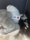 Wells Fargo Legendary Pony Shamrock Horse Plush 13  2013 Tags Attached