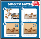 Sungrow 50 Pcs Catappa Indian Almond Leaves For Betta Fish Tank Aquarium  2    Wat