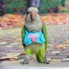 Bird Flight Harness Vest  Parrot Flight Suit With Leash For Parakeets Cockati   