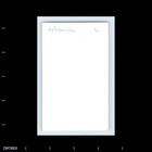 Old Vintage Photo Woman Elegant Dress