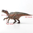Jurassic Realistic Iguanodon Dinosaur Model 8 5  Long Figure For Kids Toy Gift