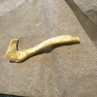 Ultra Rare  Off-whitenike Swoosh French Fry Shaped