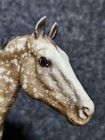     vintage Breyer Appaloosa Performance Horse   99 Chestnut Roan - Mint