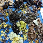 20pcs   butterfly Species With No Duplicates      natural Real Butterflies Specimen