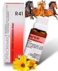      Adel 36 Drops 20ml X 3   Pollon   Homeopathy   R 41 X 3 Free Ship