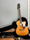 Fender Paramaount Pm-3ce Standard Nat Electric Acoustic Guitar With Case