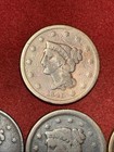 Us Large Cent Lot 5  Pieces 1841 1842 1843 1851 1856