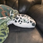 Melissa And Doug Giant Sea Turtle Plush Pillow Jumbo Size Realistic 29    Vguc