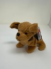 Beanie Baby  tuffy  1996 Plush Dog With Original Tag - Multiple Errors