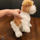Ty Classic Shih Tzu Dog Plush Barley White Tan Puppy Stuffed Animal 11  Long 
