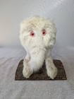 Homemade Taxidermy Creature With Red Eyes Fun Funny Unique Collectible Animal 