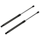 Rear Hatch Tailgate Lift Supports Shock Struts Compatible With Yaris Hatchback 