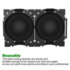 Plant Rooting Grow Device High Pressure Propagation Ball Box Growing Grafting Us