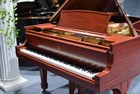 Steinway   Son  A Iii  2021 1924   Very Chocolate Tone  Highly Regulated Action