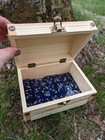 Navy Elder Futhark Runes With Gift Box Rune Boxelder Futhark Norse Old Norse Wi