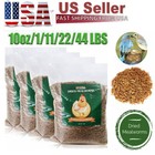 Bulk Dried Mealworms For Wild Blue Birds Hen Reptile Treats Non-gmo Lot