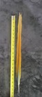 20 75    Yellow   Blue Macaw Tail Feather Cam E Lot