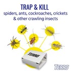 T3206 Spider   Insect Trap 4 Count Pack Of 1