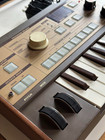 Korg Microkorg Analog Modeling Keyboard Synthesizer Limited Edition Color