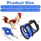 Chicken Harness With Leash  Spring Summer Comfortable Elastic Medium  Blue