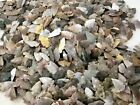    53 Flint Arrowhead Usa Collection Amazing Colors 1 -1 3  Dovetail Points   