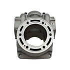 Cylinder Kit W  Piston   Top End Gasket For Exc300 Te Sx Xc Xcw 300 2008-2016 Us