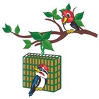 C s Products Woodpecker Treat Assorted Species Beef  Wild Bird Food  12-pack 