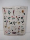 Encyclopedia Of Ribbon Embroidery Flowers 121 Designs Deanna Hall West  Sewing