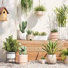 Self-watering Window Rectangular Indoor Outdoor Planter Box