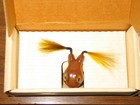 Vintage 2 Fred Arbogast Joe Messinger Bucktail Frogs Fishing Lure  New In Box   