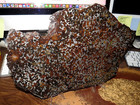 1118 Gm Sericho  Pallasite Meteorite Etched Slice  From Kenya Std Olivine Jal