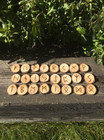 Wooden Viking Rune Set  elder Futhark 