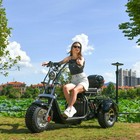 Aldult Electric Tricycles 60v20ah 3000w Powerful Motor 18 Inch Fat Scooter