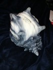 Vtg Lrg Ceramic Conch Sea Shell Planter Vase 12x8 Grey teal And Cream Verdella 