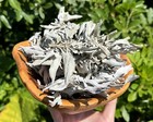 4 Oz Loose White Sage Smudge Leaves   Clusters  cleansing Smudging Purification 
