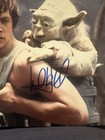 Mark Hamill Star Wars Luke Skywalker Autographed 8x10 Photo W  Coa