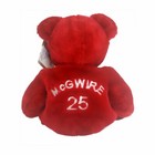Salvinos Big Bammers Mark Mcgwire  25 Plush Teddy Bear St  Louis Cardinals Nwt